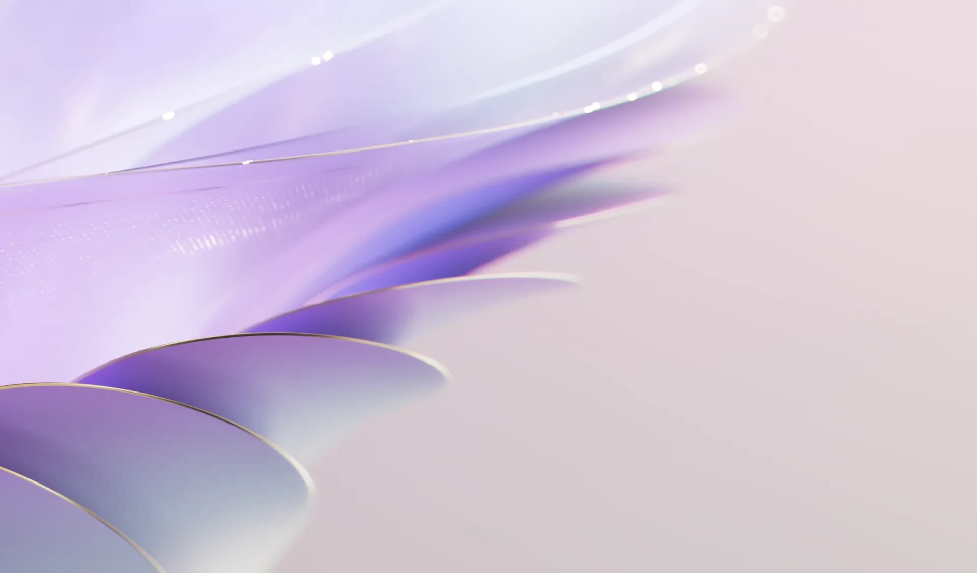 UX Research Profesional